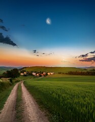 Evening Wild Landscape: Beautiful Sky Over Green Field with Moonlight