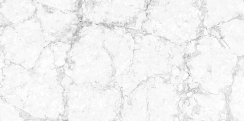Obraz premium Abstract earth cracks texture on isolate vector background. Black and white old dirty texture. white and black cracks Transparent texture with vector marble pattern background.