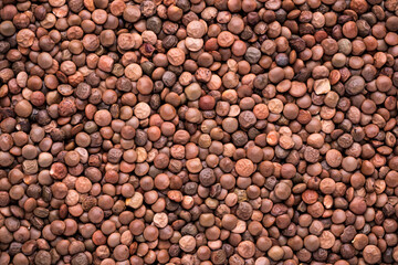 top view of lentils 