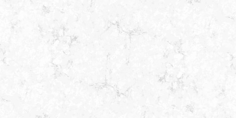 Abstract earth cracks texture on isolate vector background. Black and white old dirty texture. white and black cracks Transparent texture with vector marble pattern background.