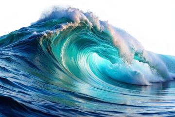 ocean waves isolated on white. Sea blue wave with white foam isolated on a white background.