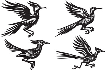 roadrunner vector illustration silhouette image icon
