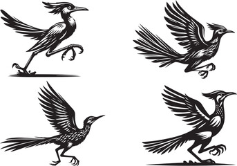 roadrunner vector illustration silhouette image icon