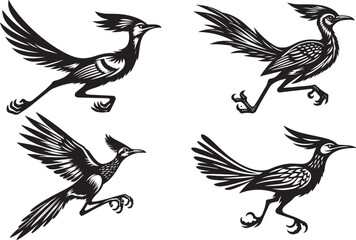 Obraz premium roadrunner vector illustration silhouette image icon
