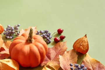 Colorful autumn leaves and pumpkin on a green background. Nature mockup background