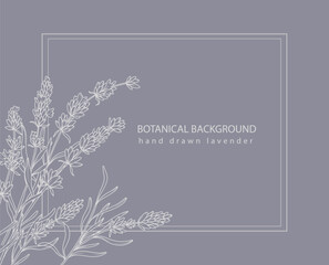Lavender Line Art. Lavender Border Frame.  Botanical Background trendy minimalist lavender. Lavender banner template. Floral Line Art Illustration.
