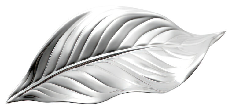 PNG Silver leaf shiny white.