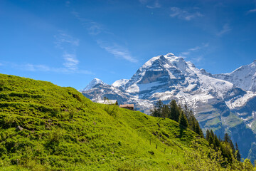 Obraz premium The Swiss Alps at Murren, Switzerland. Jungfrau Region. The valley of Lauterbrunnen from Interlaken.