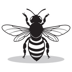 Honey bee silhouettes and icons. Black flat color simple elegant white background Honey bee animal vector and illustration.