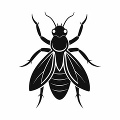 black and yellow beetle