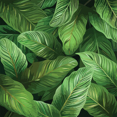 leaves of Spathiphyllum cannifolium, abstract green texture