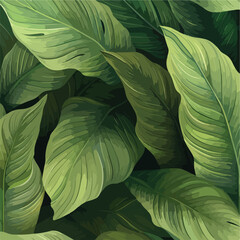 leaves of Spathiphyllum cannifolium, abstract green texture