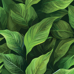 leaves of Spathiphyllum cannifolium, abstract green texture