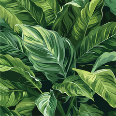 leaves of Spathiphyllum cannifolium, abstract green texture