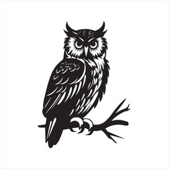 owl on white background,owl, bird, cartoon, animal, illustration, vector, cute, character, nature, art, design, drawing, wing, halloween, beak, feather, eyes, branch, fun, funny, wise, wild, icon,