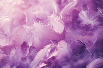 Soft Purple Feathers in Beautiful Composition