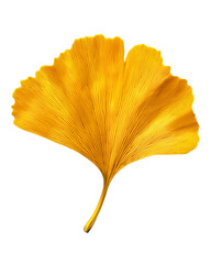 Naklejka premium a yellow Ginkgo leaf bade by cookie isolated on transparent background