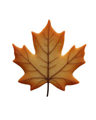 Obraz premium a maple leaf bade by cookie isolated on transparent background