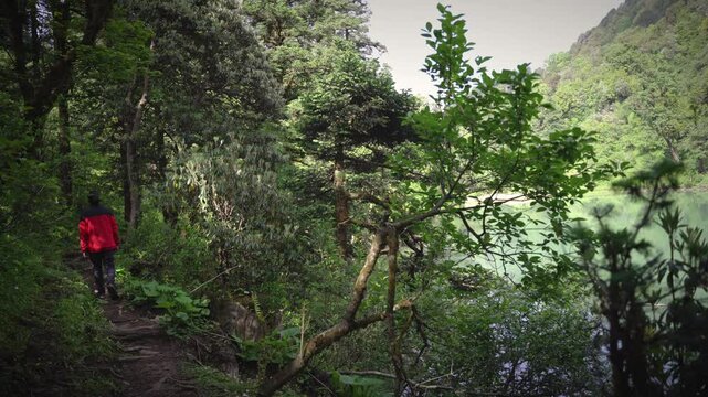 A Man waking in the Jungle of Khaptad National Park, Farwest Nepal, travelling in Nepal