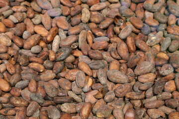 Organic Cocoa: Close-up of Dried Cocoa Beans in Bulk for Chocolate Production. Stock Image