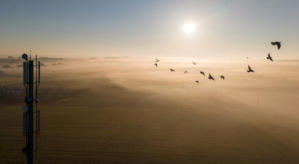 Birds Flying Through Misty Sunrise with 5G Tower in Rural Landscape.