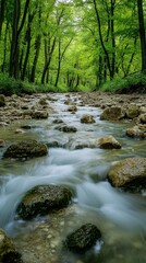 Scenic River Flowing Through Lush Forest, Highlighting Natural Beauty and Outdoor Serenity