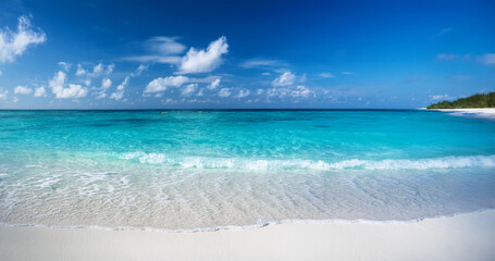 Fototapeta premium Spectacular sea view with white sandy beach, blue sky and white clouds. An island and panoramic view in the Maldives.