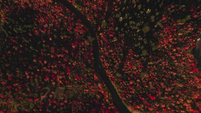 Utah Fall Drone Scape