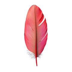 Bright pink feather isolated on transparent background