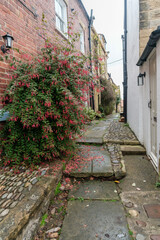 Naklejka premium Narrow alley between the houses
