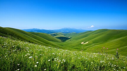 Fototapeta premium Rolling green hills with wildflowers under a clear blue sky.