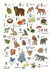 Animals alphabet set. Vector illustration with forest animals. English alphabet.