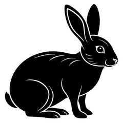 vector