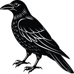 bird,
bird silhouette,
birds flying,
bird illustration,
animal illustration,
sparrow,
animal set,
animal silhouette,
animal,
wild,
zoo,
wildlife,
bird feather,
wings,
feather illustration,
collection,