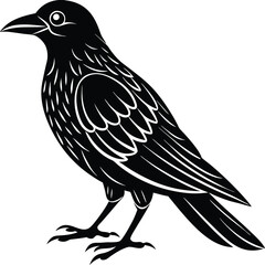 bird,
bird silhouette,
birds flying,
bird illustration,
animal illustration,
sparrow,
animal set,
animal silhouette,
animal,
wild,
zoo,
wildlife,
bird feather,
wings,
feather illustration,
collection,