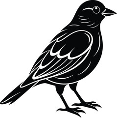 bird,
bird silhouette,
birds flying,
bird illustration,
animal illustration,
sparrow,
animal set,
animal silhouette,
animal,
wild,
zoo,
wildlife,
bird feather,
wings,
feather illustration,
collection,