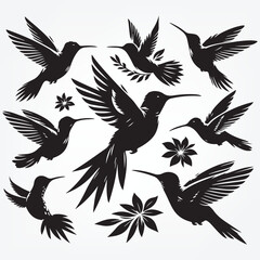 set of birds