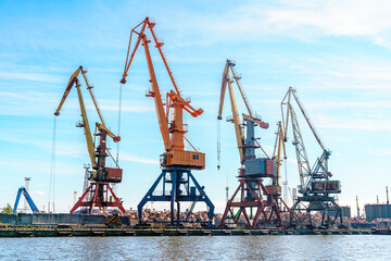Obraz premium Huge cranes in the port at sea in Kaliningrad. Kaliningrad, Russia - 18 June 2024
