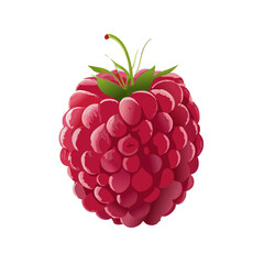 Ripe raspberry isolated on white