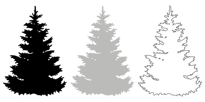 SILHOUETTE DE SAPIN DE TAILLE MOYENNE