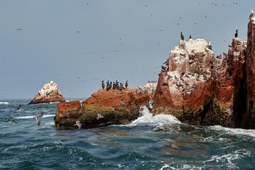 The Ballestas Islands, located off the coast of Paracas in Peru, are a stunning natural wonder often referred to as the "Poor Man's Galapagos." Known for their diverse wildlife