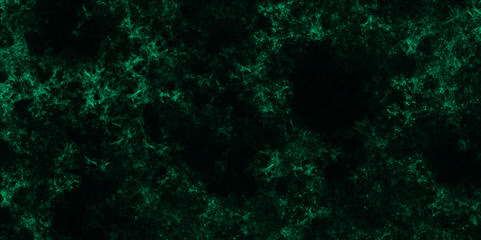 Fototapeta premium Black background with green spots holey black sheet. Black and green grunge background for cement floor texture design. Old grunge textures design With cement wall texture. Distressed green grunge.