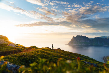 Young woman hiker admires the stunning fjord under a blue sky, illuminated by soft light from the midnight sun. As she walks through the grass, sunbeams highlight the beauty of sunrise over Lofoten