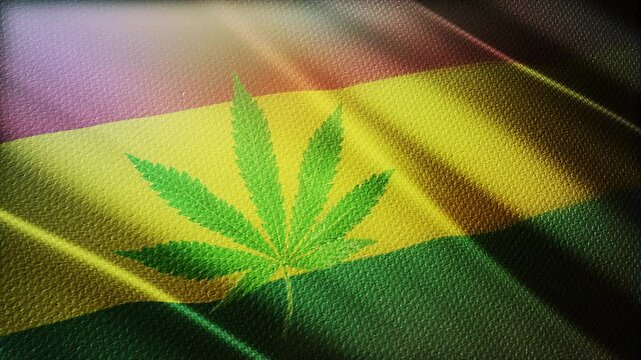 Reggae flag footage video