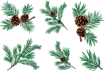 A set of green pine branches with Christmas balls. Vector illustration of a Christmas pine flower with large and small balls isolated on a white background.