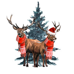 Obraz premium Hand drawn watercolor illustration of Deer and Christmas tree isolated on white background. Reindeer painting.