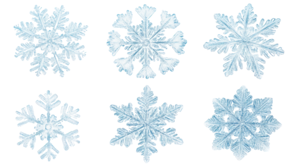 Set of diverse snowflakes isolated on white background, detailed macro photography of real snow crystals showcasing intricate patterns and unique shapes, winter nature close-up.