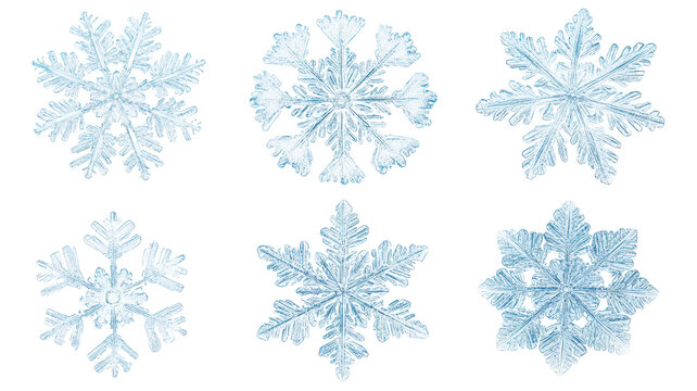 Set of diverse snowflakes isolated on white background, detailed macro photography of real snow crystals showcasing intricate patterns and unique shapes, winter nature close-up.