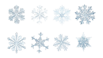 Set of diverse snowflakes isolated on white background, detailed macro photography of real snow crystals showcasing intricate patterns and unique shapes, winter nature close-up.