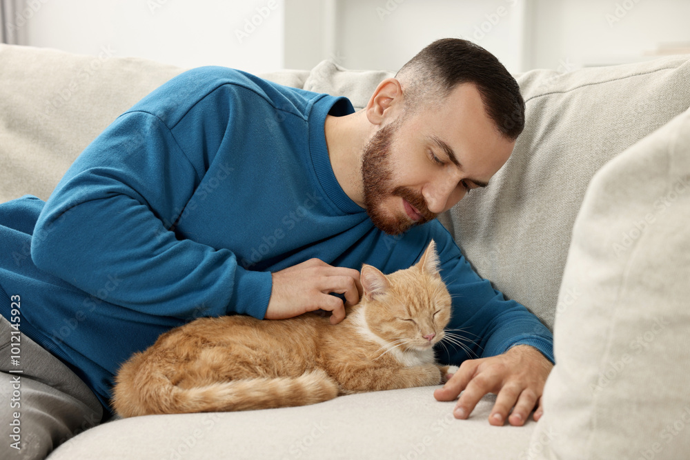 Poster Man petting cute ginger cat on sofa at home